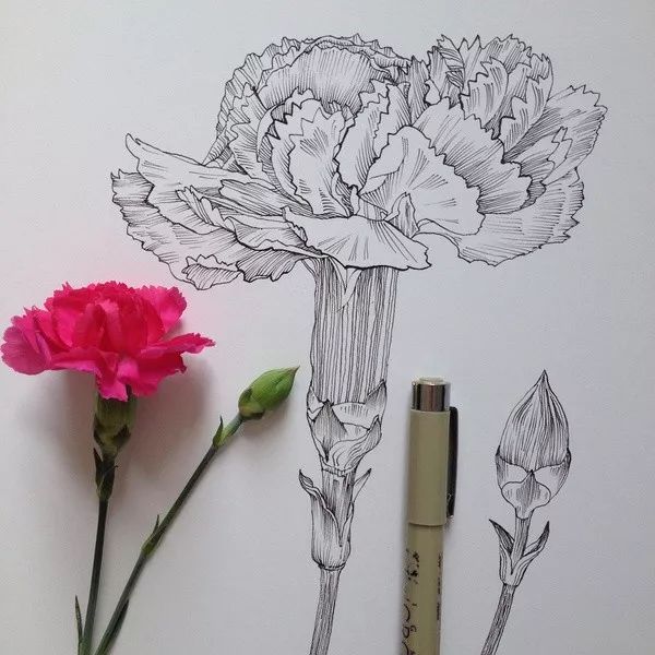 简单针管笔手绘花,简单易学针管笔手绘