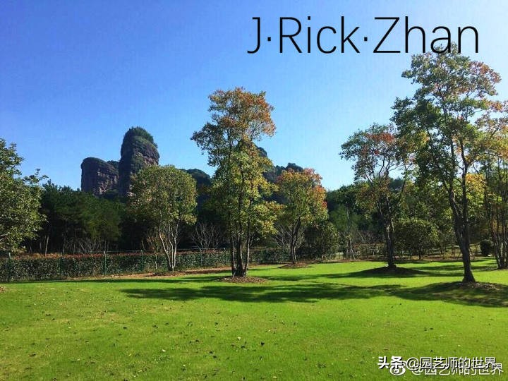 怎样种植草坪技术,果岭草坪的种植养护方法及技巧