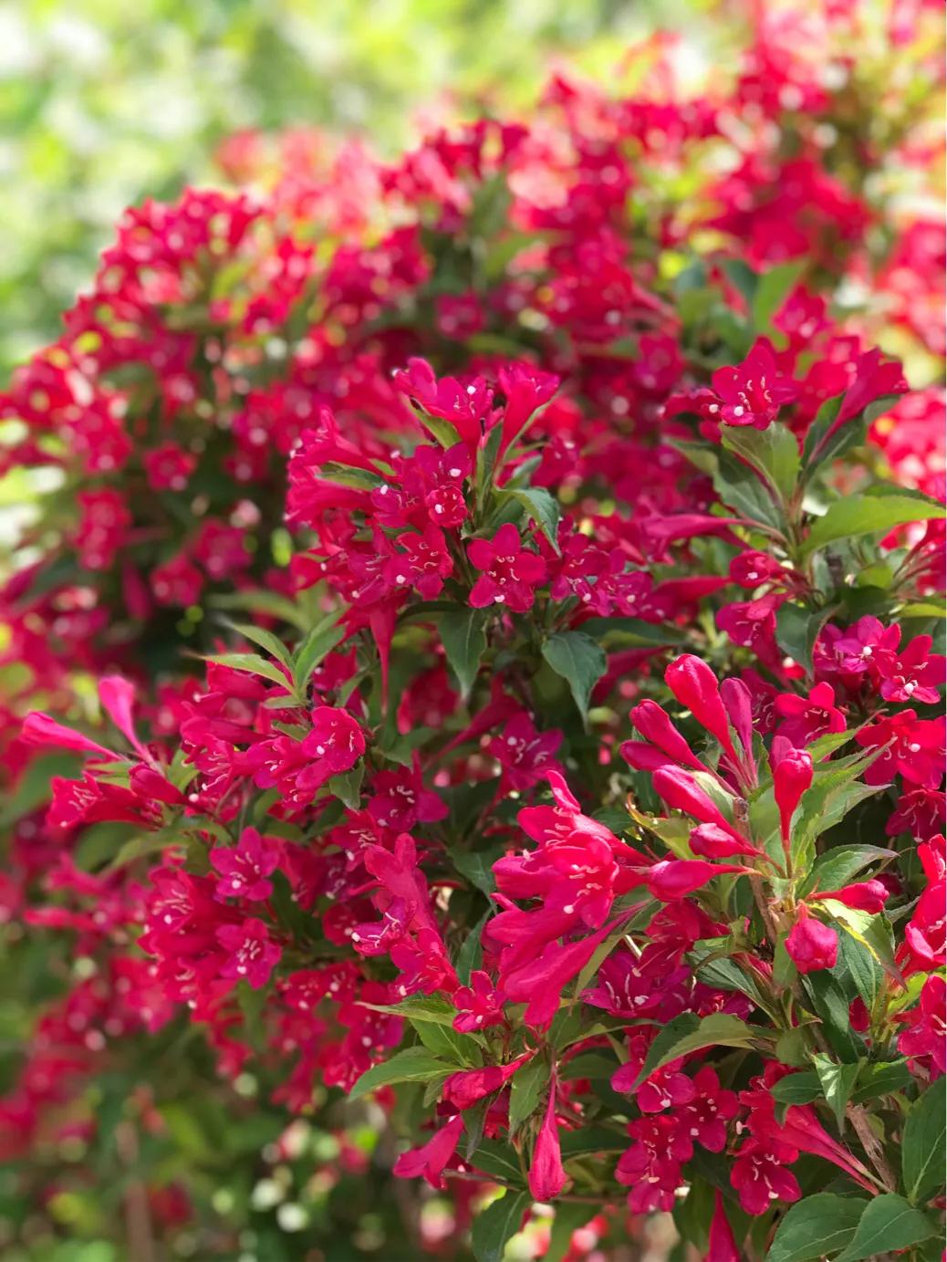 论王莽,王莽对史记的看法