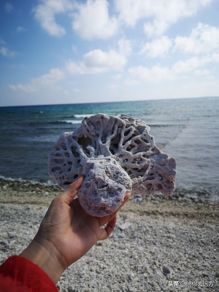 南海西沙岛礁全图,南海西沙群岛海域