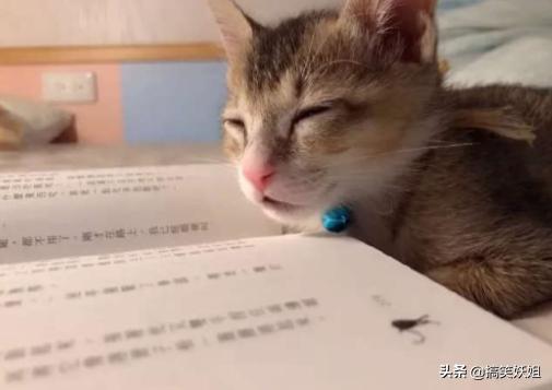 班主任处理早恋的最佳解决方法,班主任治早恋全集