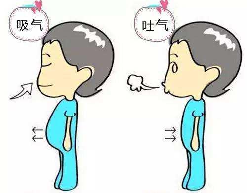 老年人便秘十来天吃什么药合适,老年人便秘吃中药还是西药好