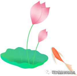 美国贸易代表2017,美国贸易代表