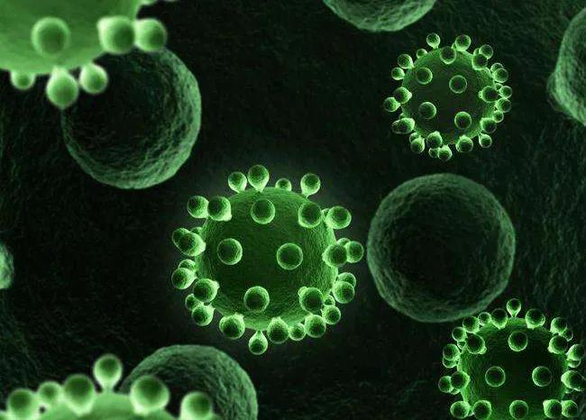 淄博化工城创始人浦彤谈：乳胶漆腐败霉变的原因及防治方法