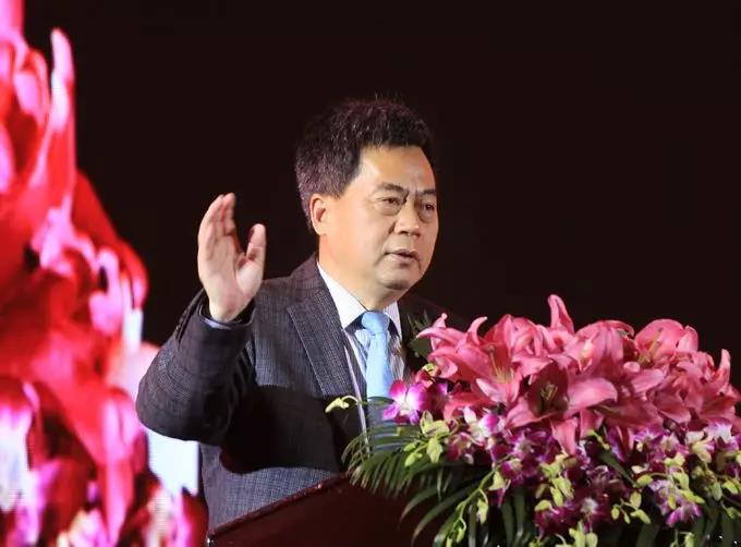 华菱星马业绩大全,华菱星马公司最新消息