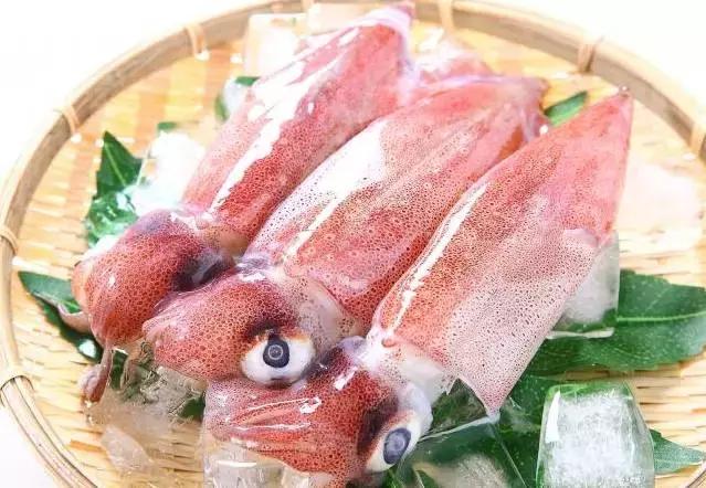 章鱼鱿鱼乌贼傻傻分不清,章鱼鱿鱼乌贼这三样有什么区别