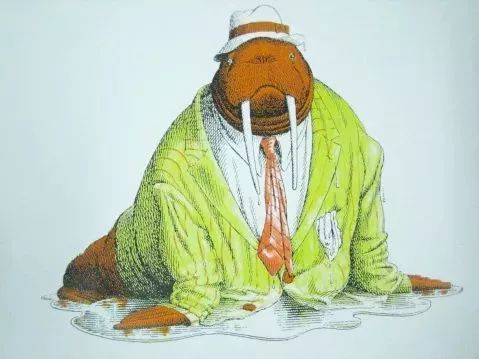 绘本推荐|《动物绝对不应该穿衣服》超级搞笑又有创意的绘本