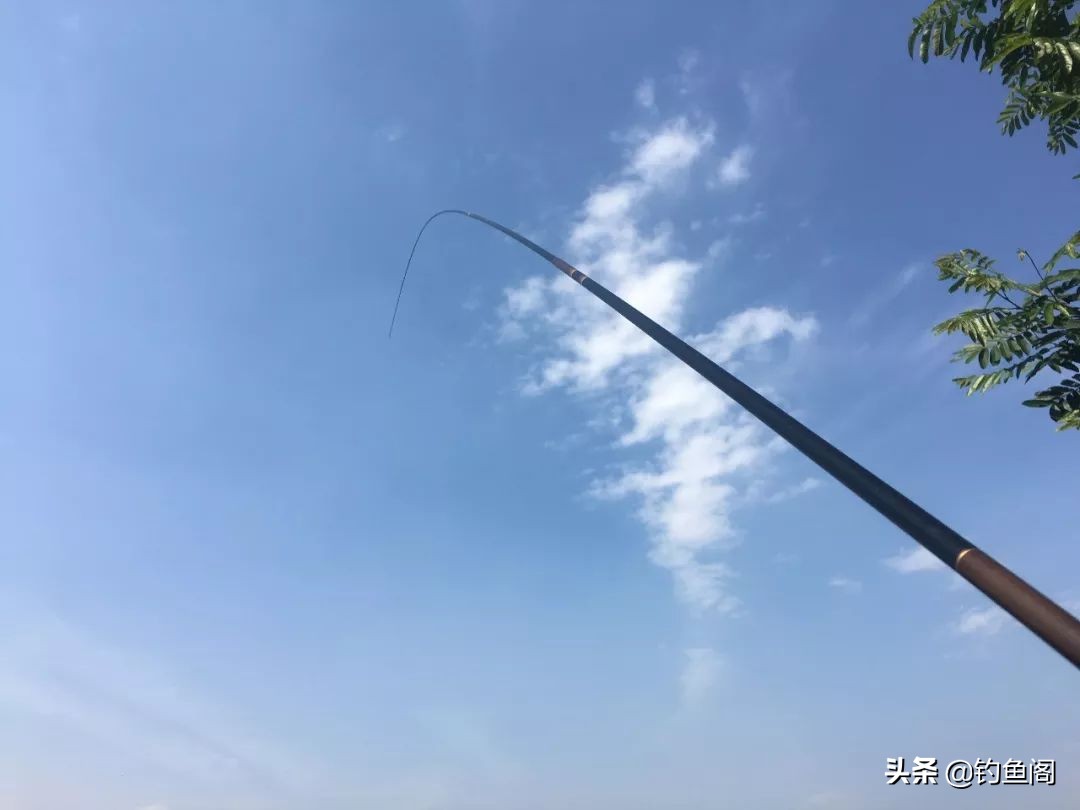 比较好的综合钓鱼竿,最好用的几款钓鱼竿推荐
