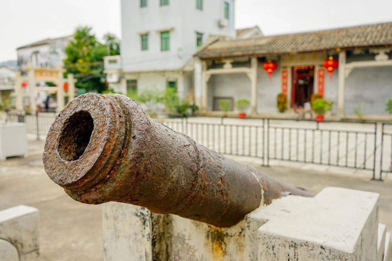 海导书|珠海·淇澳岛超干干干货攻略！一册带走，立马上海岛