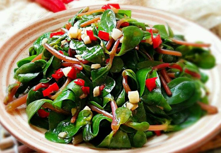 长期吃马齿苋有什么好处,吃得马齿苋到老无病患