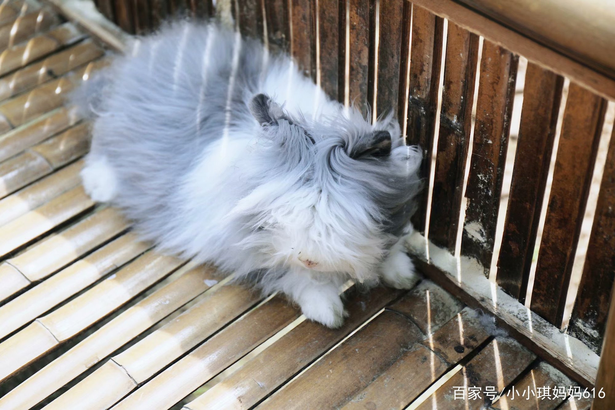 南京周边适合小众安静的旅行地,南京周边一天度假最好的地方