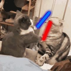 生长纹会慢慢消失吗,怎么样才能阻止生长纹