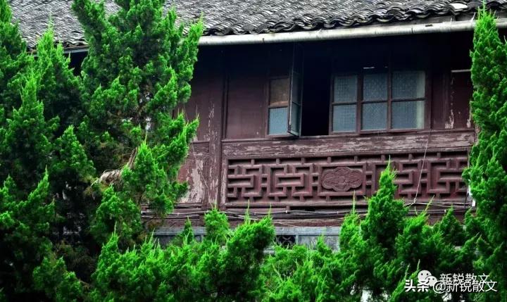 中药祛斑四款祛斑秘方别错过,美白祛斑中药配方当归黄芪白茯苓