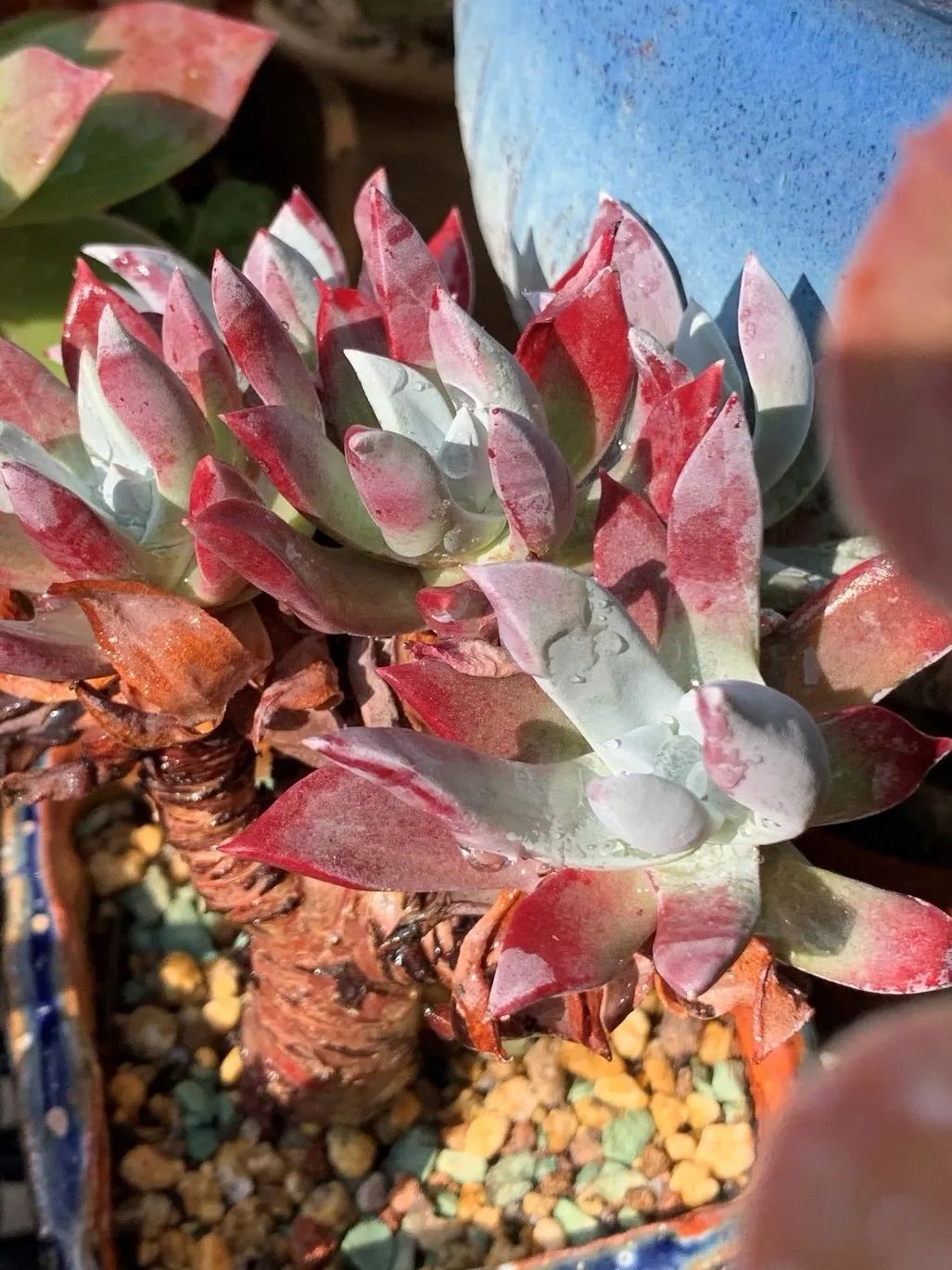 禁足的日子收获颇多,禁足