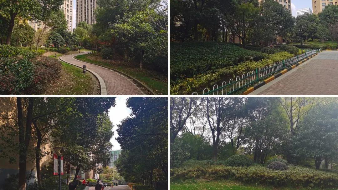 小区烂尾8年业主无奈入住,郑州市烂尾楼业主真实现状