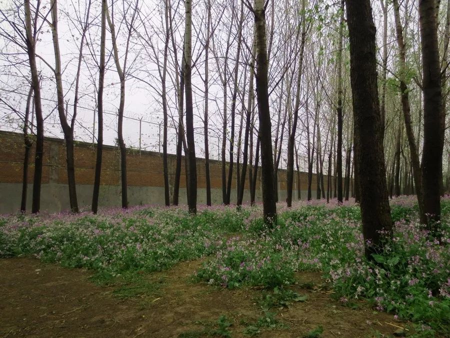 河南大美云台山特产,河南焦作大美云台