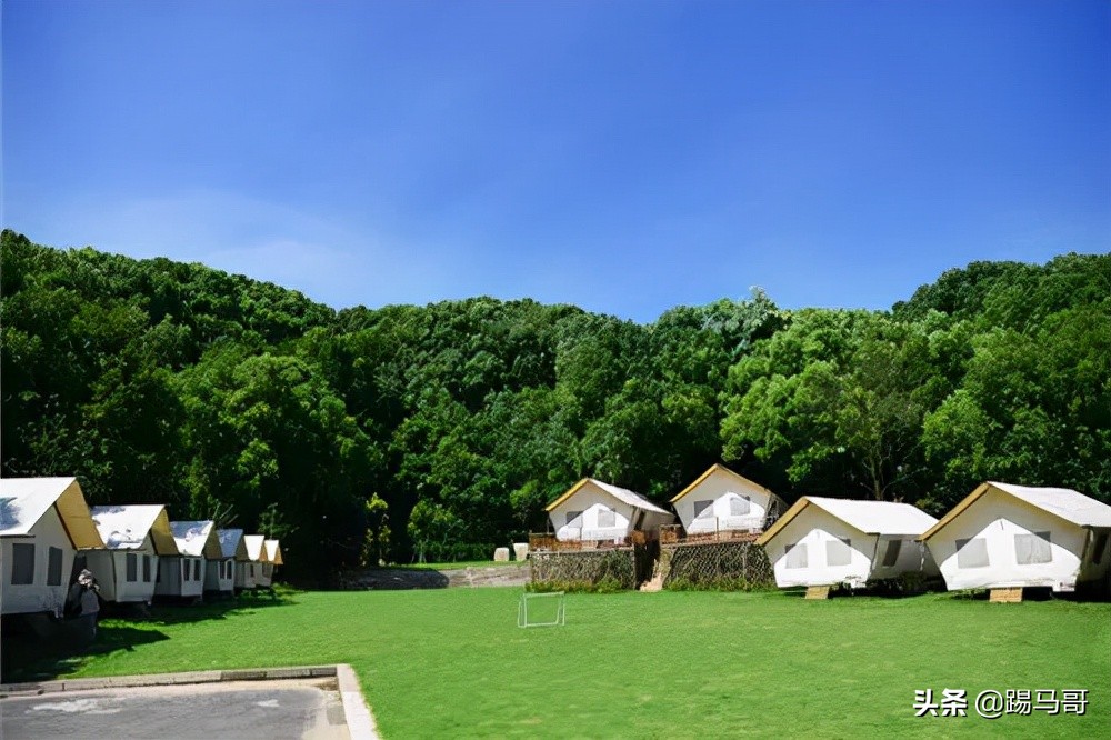 上海附近有哪些露营地可以看星星,上海周边免费露营地推荐人多