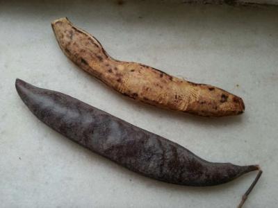 古人用的肥皂,古人做的肥皂有危害吗