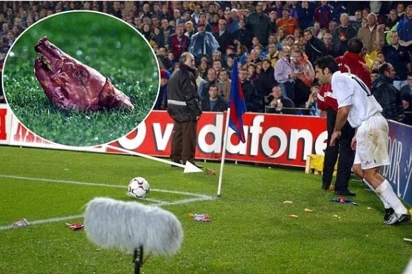 辣椒大葱西红柿芹菜,辣椒大葱西红柿洋葱