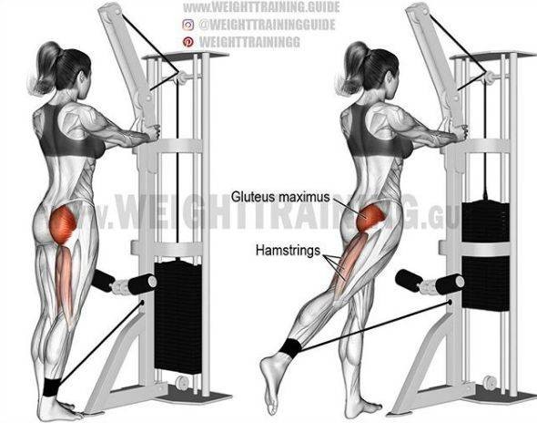 如何练臀让臀部变瘦,怎样练好臀型