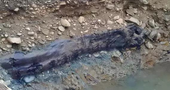 阴沉木乌木手串怎么鉴别,金丝楠乌木和阴沉木区别