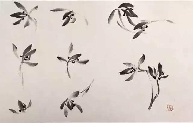 如何画兰花最好看的,君子兰花如何画