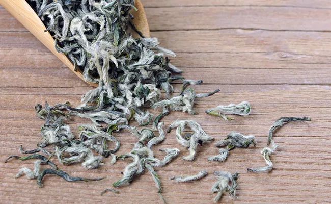 江苏绿茶十大名茶,江苏宜兴绿茶价格表