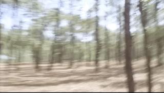 西门无恨什么实力,西门无恨大揭秘