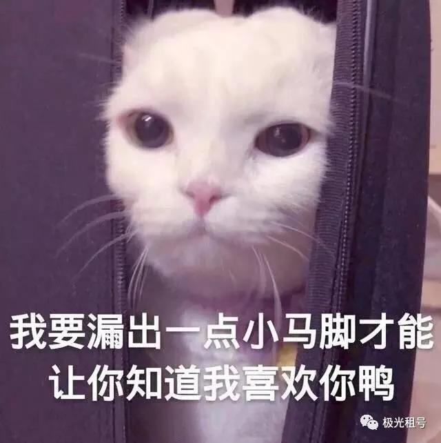 多游平台游戏礼包,多游平台游戏礼包领取