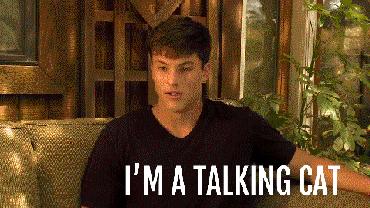 为啥有些猫不爱叫,为什么有的猫不爱喵喵叫