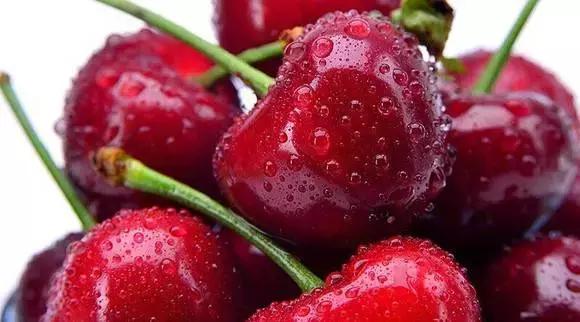 陕西樱桃采摘园大樱桃,西安樱桃采摘基地推荐