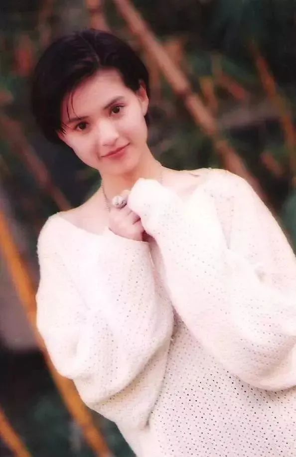 神雕侠侣播出盛况,神雕侠侣十六年之约大结局