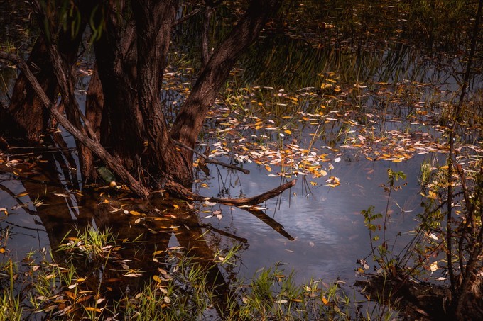 消失的地平线上的“香巴拉”和“女儿国”（二）