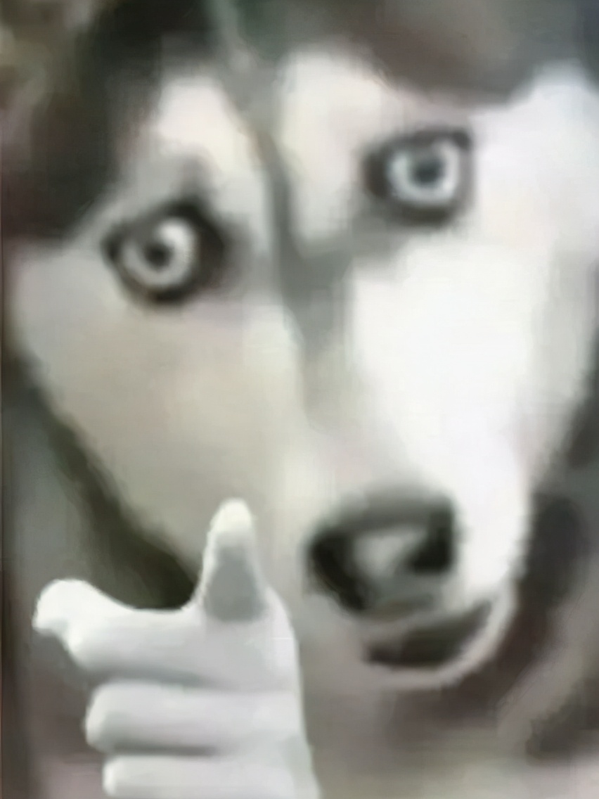 iPhone7被拍到27万元,U盘被炒到4万元,阿里拍卖被网友占领了