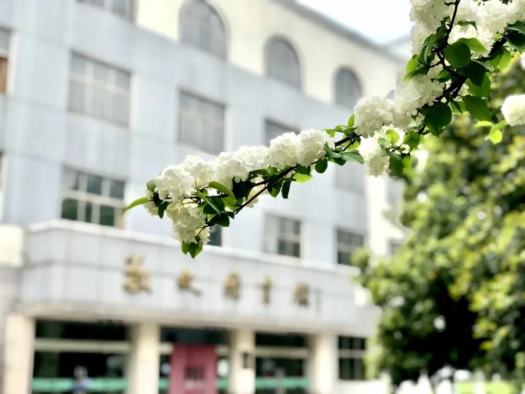 江苏省高校（九）扬州大学