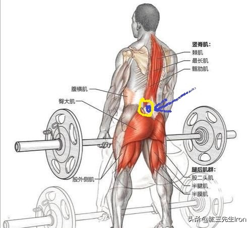 健身腰部肌肉损伤怎么恢复,健身腰肌损伤要多久才能再次运动