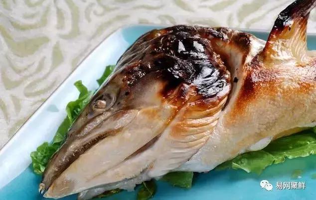 三文鱼都可以做成哪些好吃的,三文鱼鱼头适合多吃吗