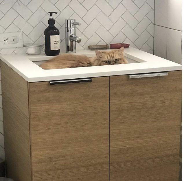 新冠病毒国外怎么防控,新冠病毒国外防控