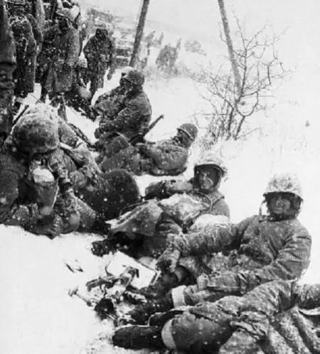 长津湖战役历史讲解简介,长津湖敌我兵力