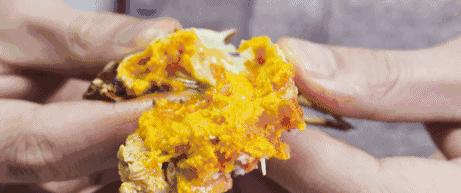 大闸蟹泡黄酒要蒸多久,清蒸大闸蟹是用公蟹还是母蟹