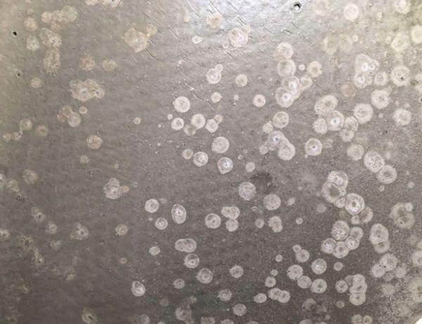 最近很火的水泥自流平,长草自流平