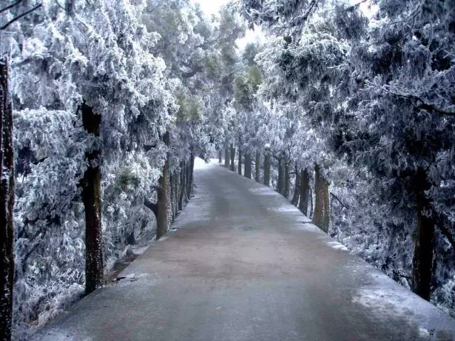 长沙身份证430102,长沙42开头的身份证