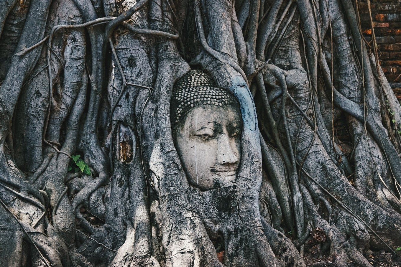 泰国旅游购物清单攻略,泰国大城一日游景点介绍