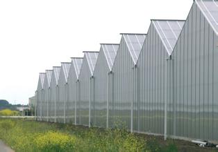 河北遮阳连栋薄膜大棚承建,连栋薄膜温室大棚效果图讲解