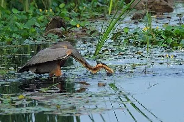 人少景美的山东小众旅行地,只要胆子大就能放长假