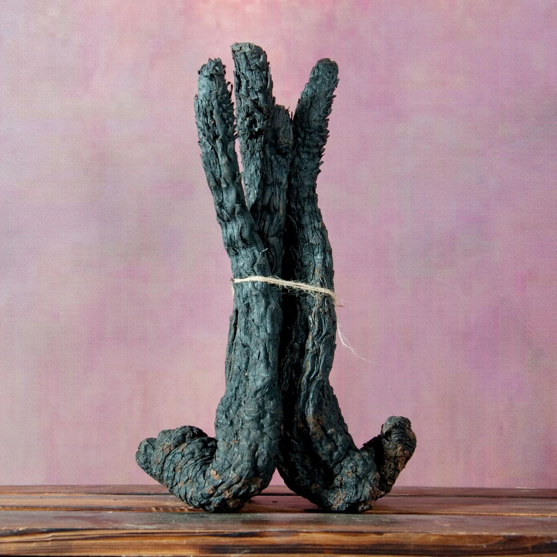 怎样区分肉苁蓉的好坏,锁阳肉苁蓉怎样识别好坏