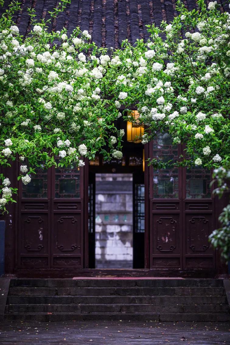 每一种血型的人都有各种不同,不同血型的人的智商有差别吗