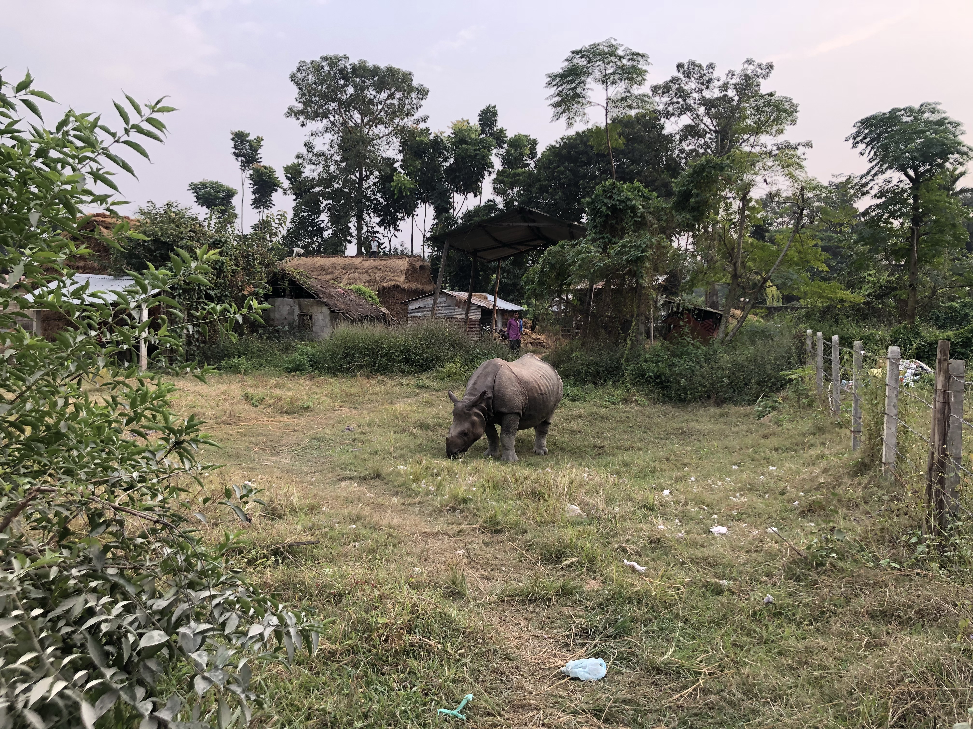 尼泊尔自由行旅游攻略,尼泊尔自驾游纯玩路线定制