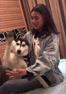 高铁上一位阿姨,高铁40岁老阿姨踢我怎么办