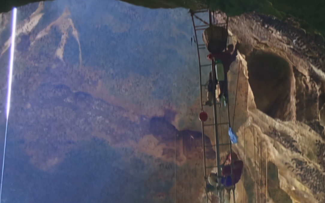 马来西亚超赚钱的工作，采金丝雀燕窝，一周能赚1000万